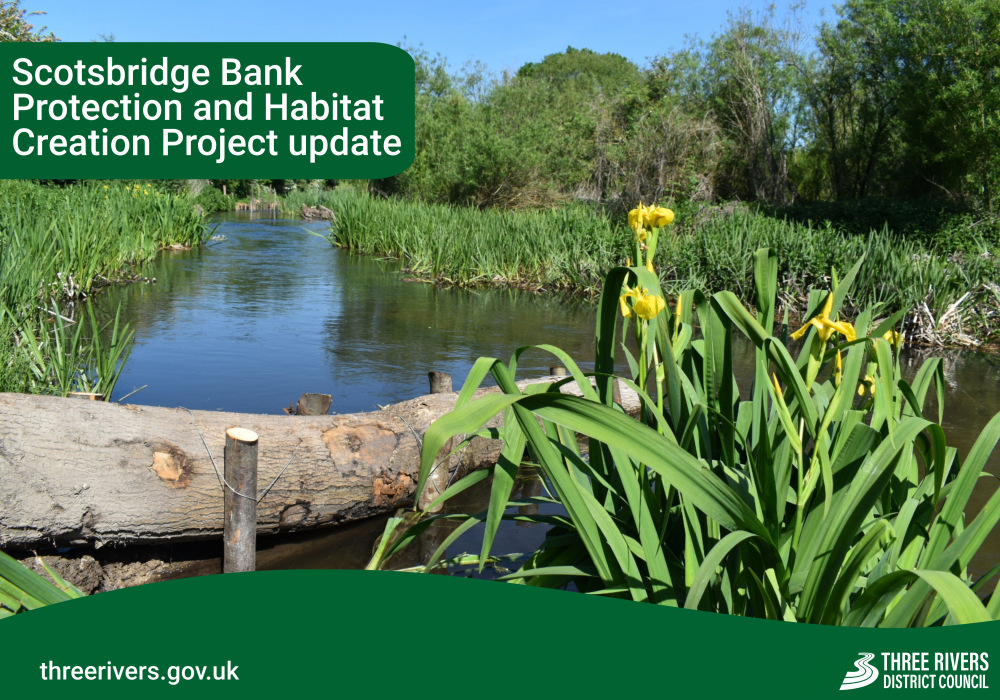 ThreeRiversDC's tweet photo. Work for the #Scotsbridge #BankProtection and #HabitatCreation project sees the translocation of yellow flag iris 🌼 

It protects the bank from the fast flowing water and is a favourite food of many river species like the water vole!

More information 👉 https://t.co/Kjrjg3QJIL https://t.co/0e5Av8jdMx