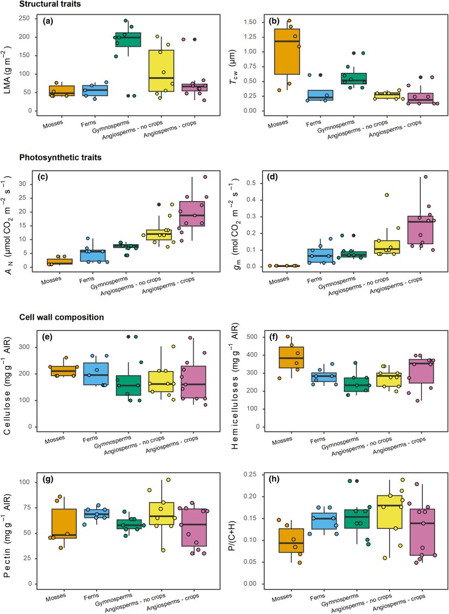 New Phytologist (@newphyt) on Twitter photo Mesophyll conductance and #CellWall composition: insights from a meta-analysis across species
📖nph.onlinelibrary.wiley.com/doi/10.1111/np…
👆 A #Commentary by Coralie E. Salesse-Smith & Yi Xiao on this article by Roig-Oliver et al.
👇
📖nph.onlinelibrary.wiley.com/doi/10.1111/np…
#LatestIssue <a href="/wileyplantsci/">Wiley Plant Science</a> Mesophyll conductance and #CellWall composition: insights from a meta-analysis across species
📖nph.onlinelibrary.wiley.com/doi/10.1111/np…
👆 A #Commentary by Coralie E. Salesse-Smith & Yi Xiao on this article by Roig-Oliver et al.
👇
📖nph.onlinelibrary.wiley.com/doi/10.1111/np…
#LatestIssue <a href="/wileyplantsci/">Wiley Plant Science</a>