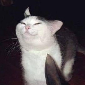 Mei_starlight21's tweet image. I paused the pose at a perfect time