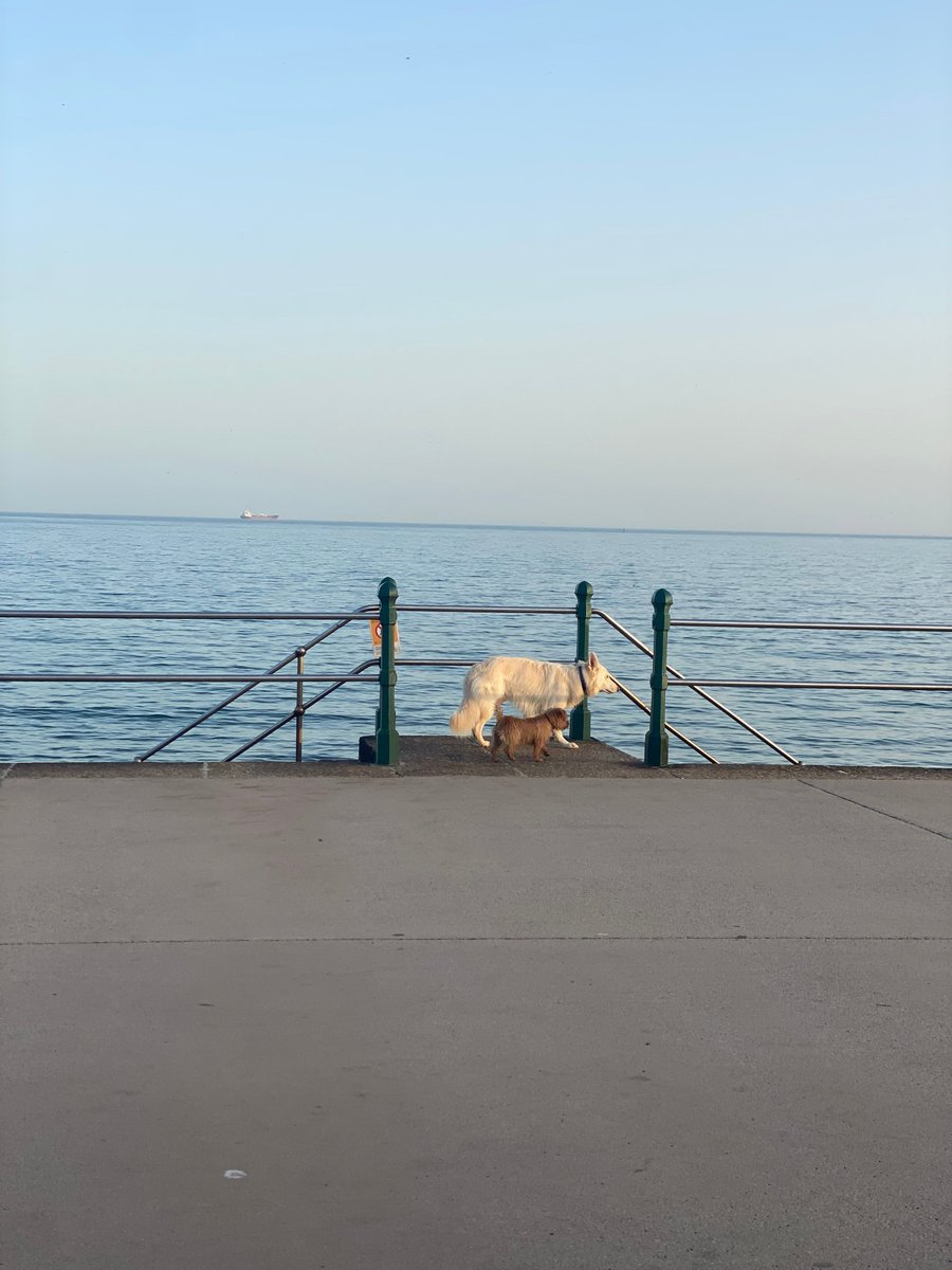 At Falmouth Holiday Homes, we have a range of #DogFriendly accommodation, as we believe no pup should be left behind.

Head to our website and take a look - bit.ly/DogFriendlyPro…