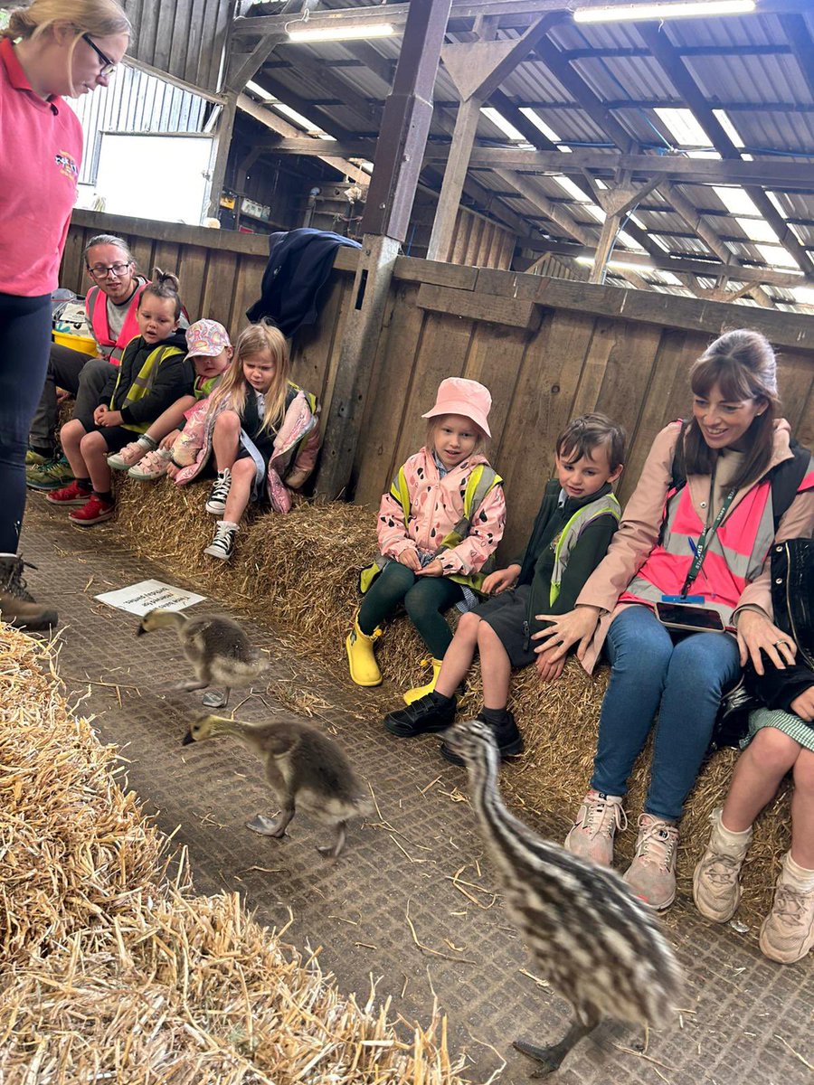 YRBGStPeters π (@styrbg) on Twitter photo We have arrived at the farm and are having the best time! <a href="/stpetersfarn/">St.Peter's Farnworth π©βπππβ€οΈβ¨</a> We have arrived at the farm and are having the best time! <a href="/stpetersfarn/">St.Peter's Farnworth π©βπππβ€οΈβ¨</a>
