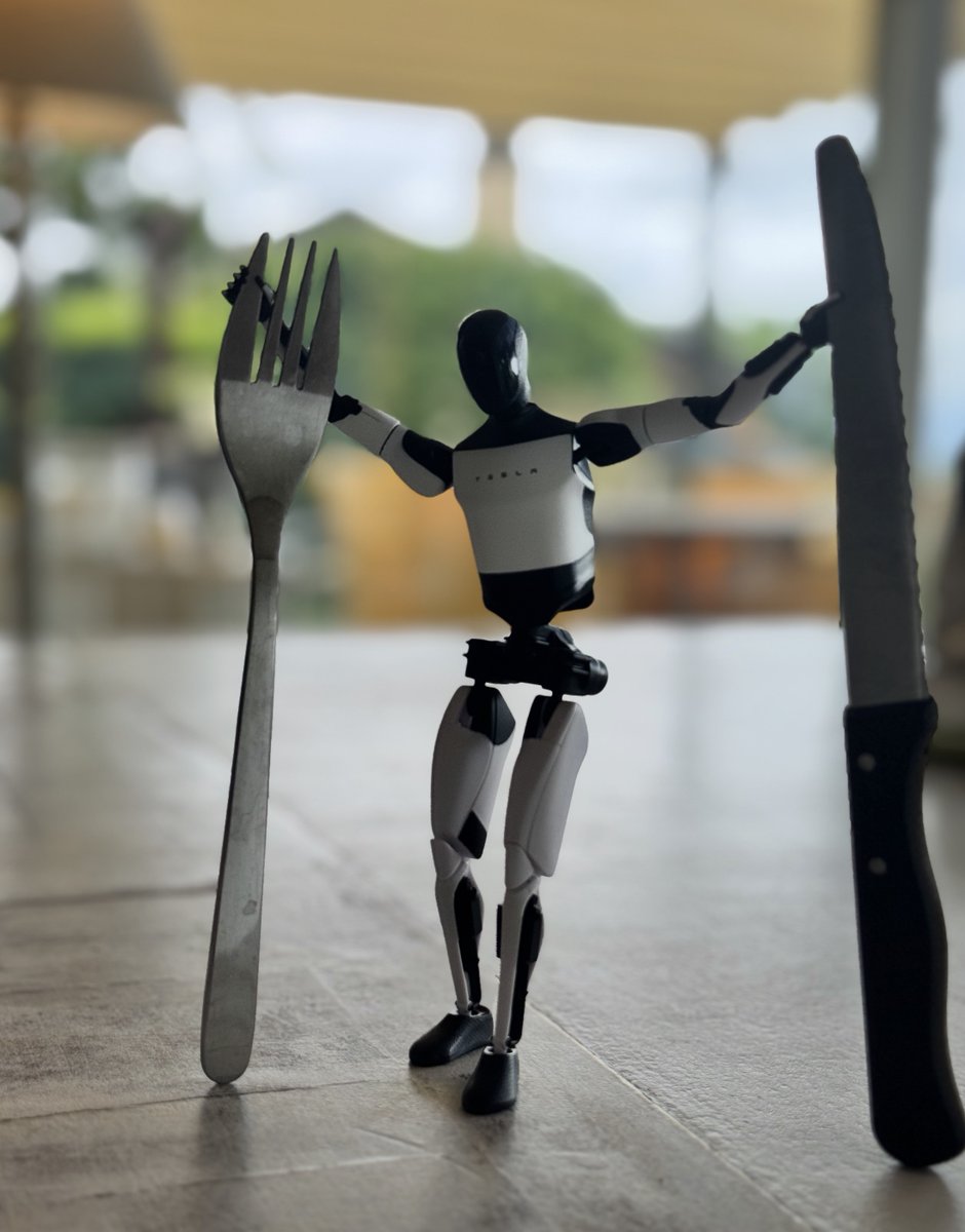 crifan1's tweet image. Day 47 of sneaking Optimus into the house: She’s still ‘allergic’ to the idea of robots, but I caught her giggling when he held the fork and knife like a tiny chef 🤖🍴. Progress, people! Soon she’ll be besties with my metal buddy. 
@elonmusk @Tesla_Optimus  #RobotLove…