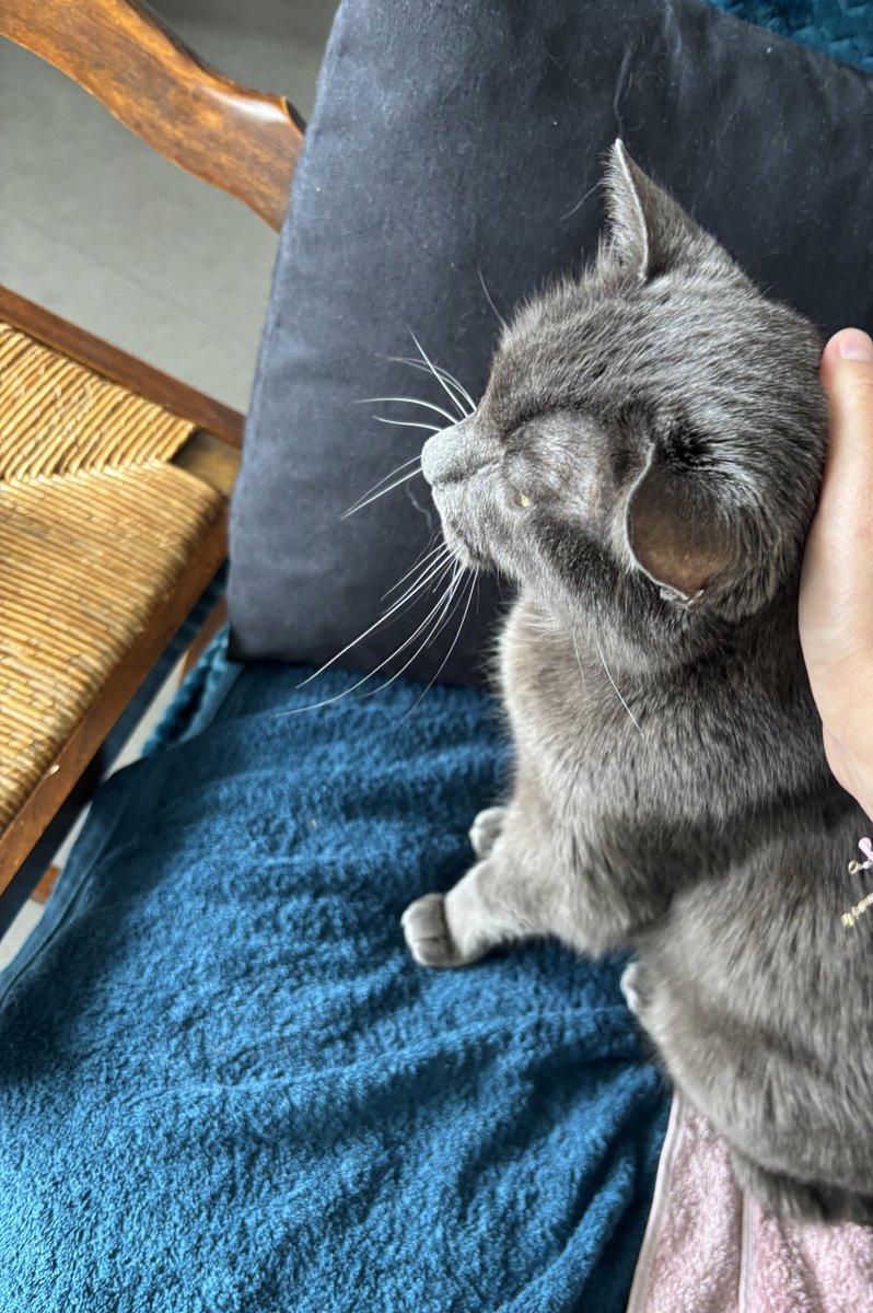 Pourquoi t’aimes bien faire les visites à domicile ? 

Moi :