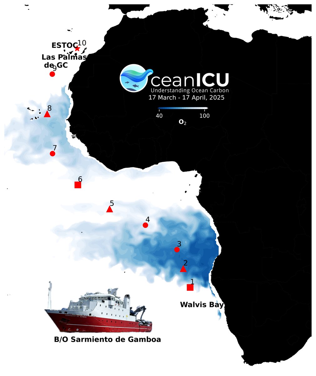 GroupBiological's tweet image. 🌊 Charting carbon currents! As part of the @Oceanicu_carbon project, we embarked on a research cruise from Namibia to Gran Canaria aboard RV Sarmiento de Gamboa to study how the ocean captures CO₂—and how climate stressors may affect its role as a carbon sink🚢 #ClimateScience