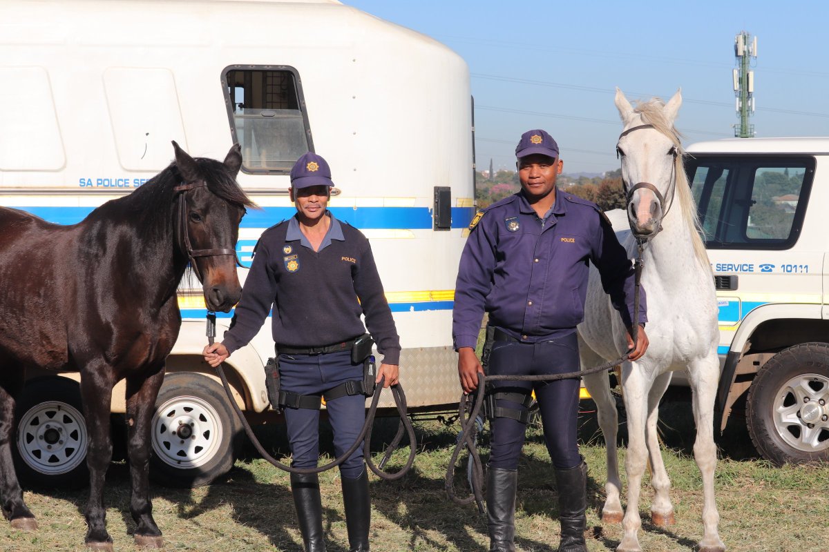 SAPoliceService's tweet image. #sapsDYK The #MountedUnit is used as a force multiplier in various areas due to the fact that they have certain advantages over the standard patrol vehicles used in policing. #SAPSEmployerOfChoice #SAPSCareers #TakeAchildToWork. NP