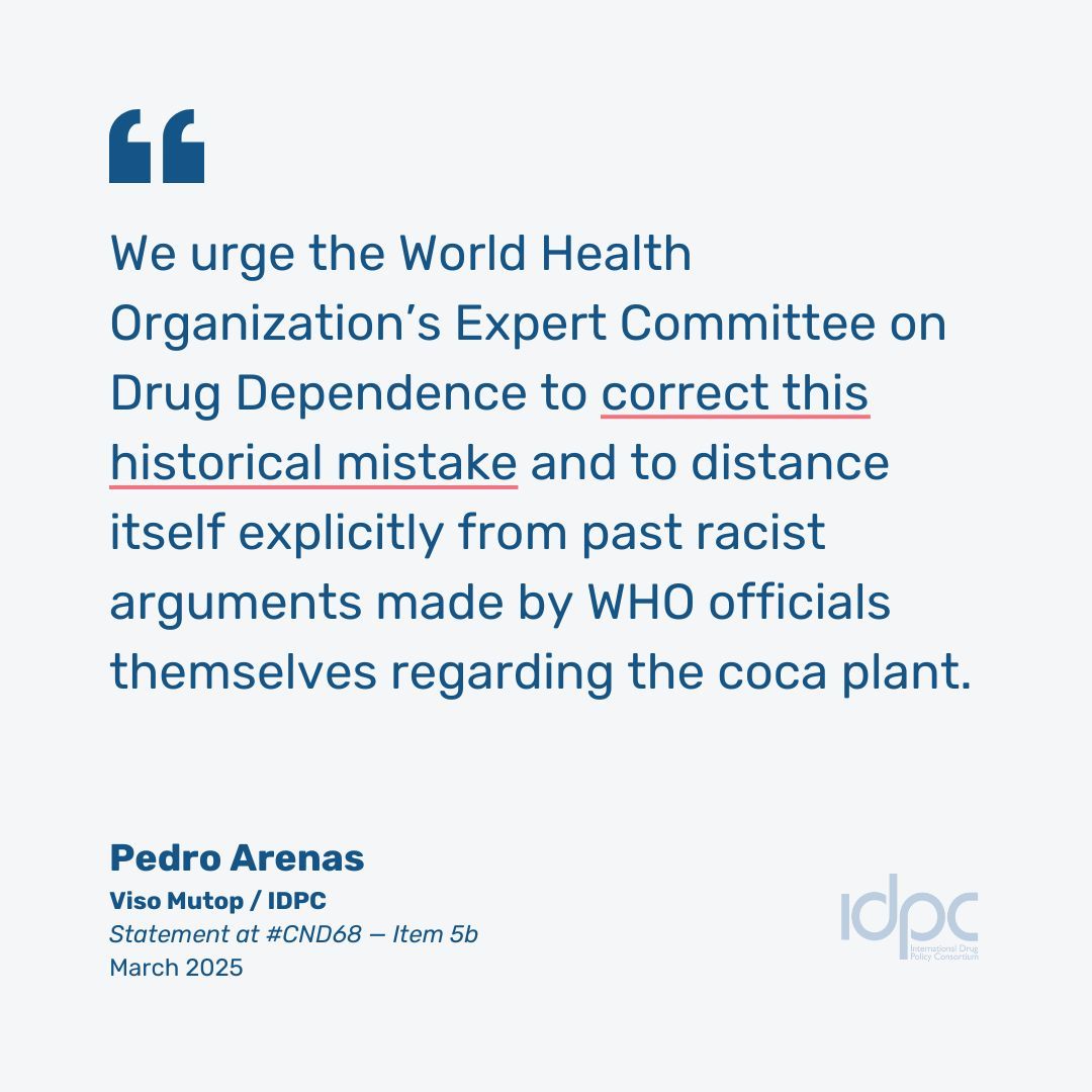 IDPC (@idpcnet) on Twitter photo 🌿 Banning the coca leaf was never about science or safety, but colonial prejudice and control.
As <a href="/WHO/">World Health Organization (WHO)</a> reviews the plant’s status, Indigenous rights and evidence of clear benefits must be at the centre!
Check out our page on the process & next steps: idpc.net/coca-leaf-revi… 🌿 Banning the coca leaf was never about science or safety, but colonial prejudice and control.
As <a href="/WHO/">World Health Organization (WHO)</a> reviews the plant’s status, Indigenous rights and evidence of clear benefits must be at the centre!
Check out our page on the process & next steps: idpc.net/coca-leaf-revi…