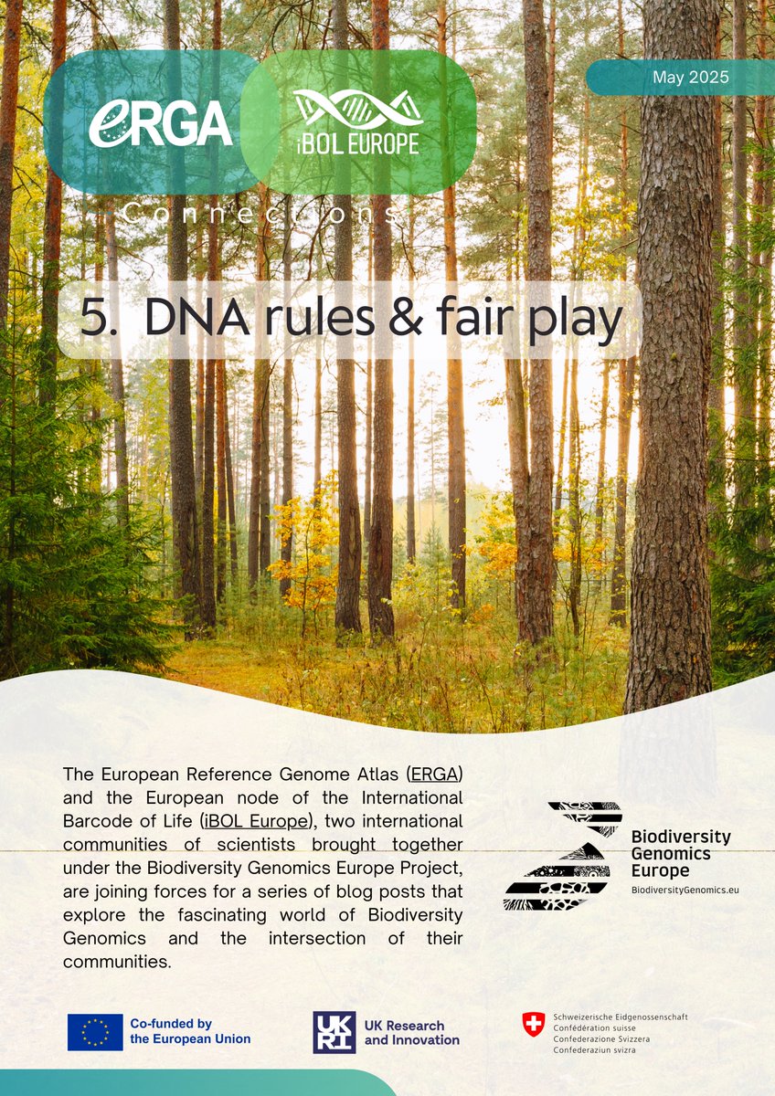 erga_biodiv's tweet image. 🔥 This is a hot topic and not always easy to unpack but we’ve got you covered! Check out our #EasyConnection flyer for a breakdown of key concepts like the #NagoyaProtocol and #DSI.

🔗 biodiversitygenomics.eu/wp-content/upl… 

@UNBiodiversity