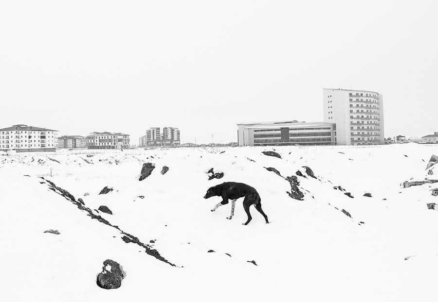 If you like to see my more photos here is my webpage:
muratyazar.info