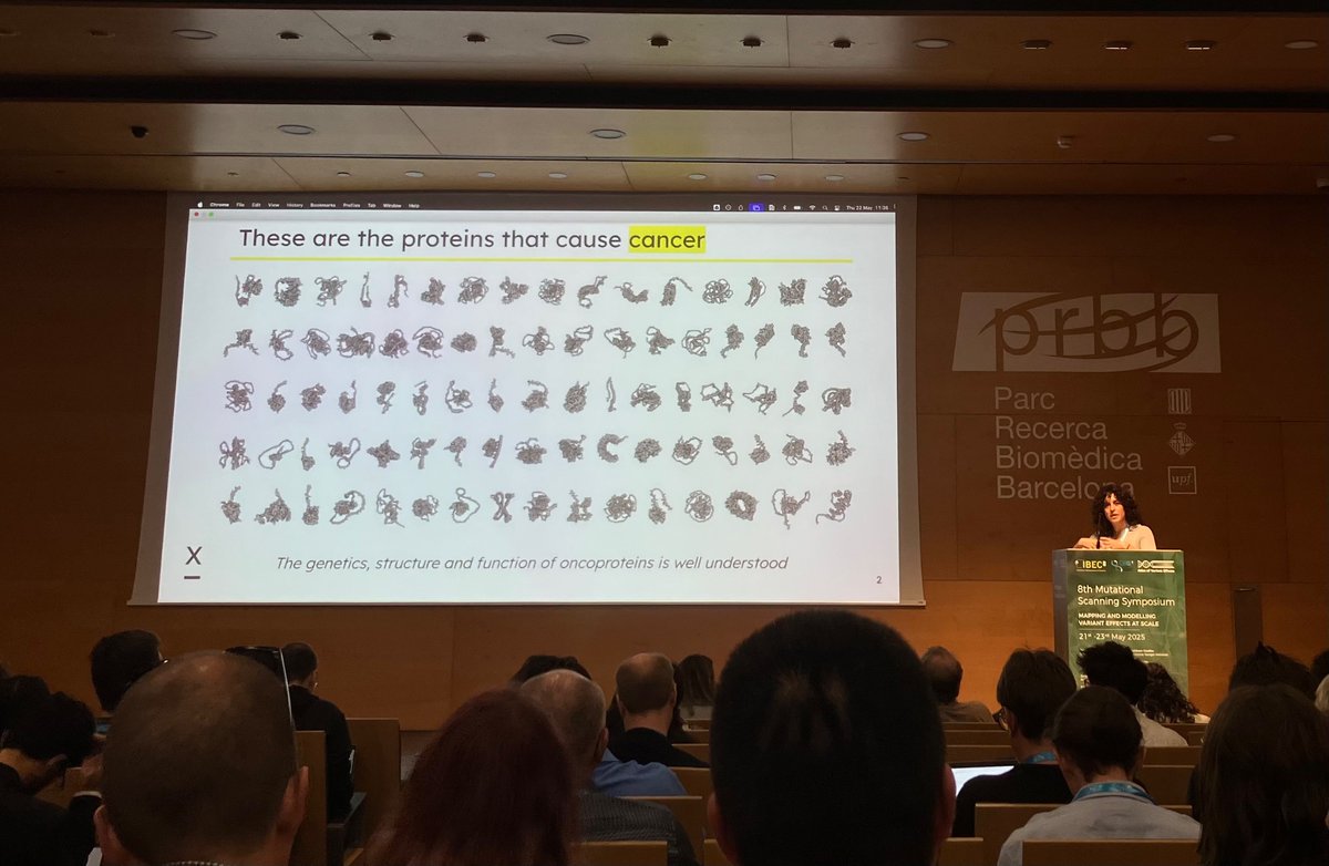 ChloeTerwagne's tweet photo. Impressive work presented by @JuliaDiumenge on their effort to map allosteric sites at scale at @ALLOXbio #VariantEffect25 https://t.co/6JqsDqRR6D
