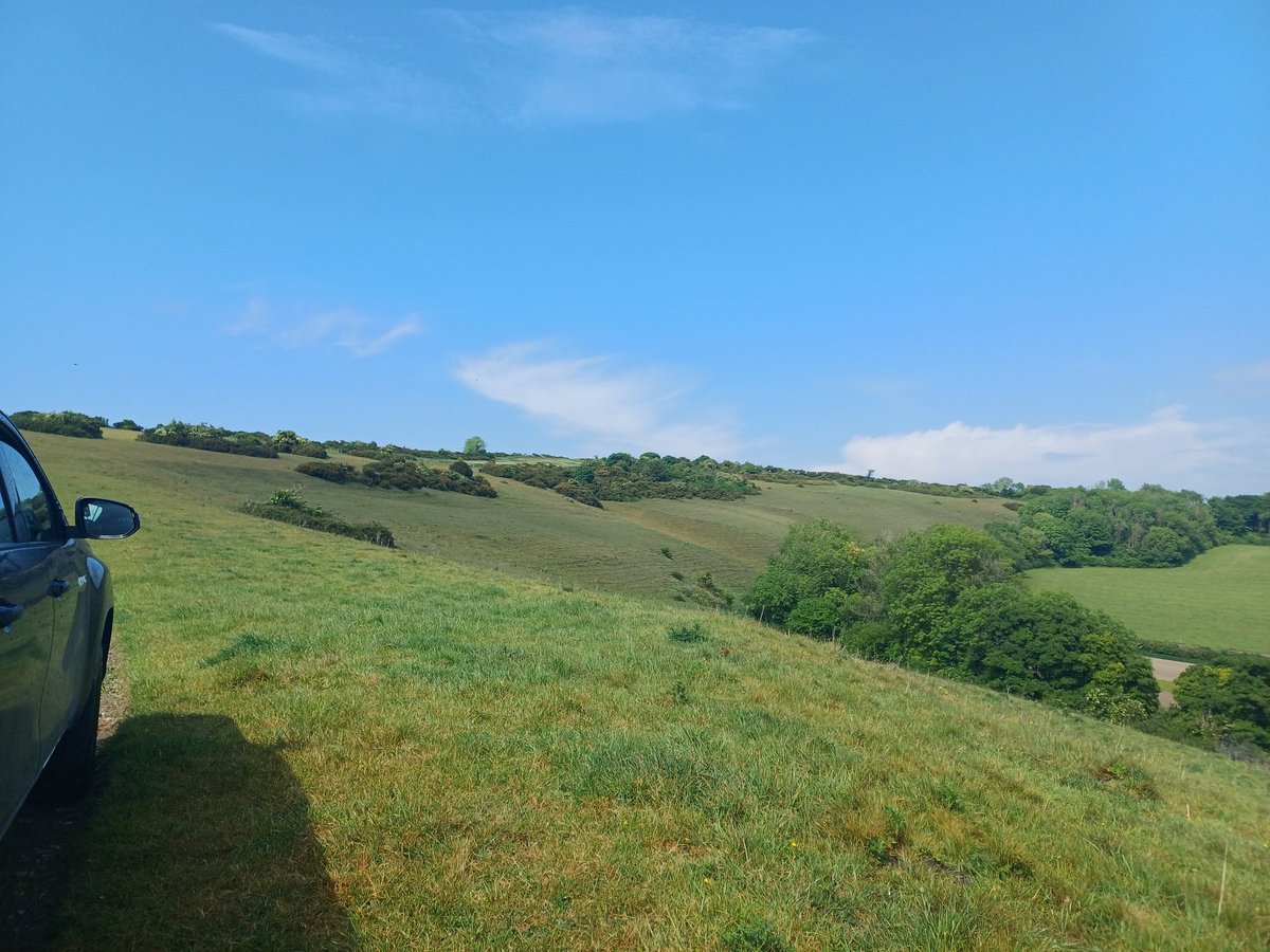 Amazing grasslands, out in Plush Dorchester yesterday dodging rain and surveying wonderful species rich grassland #Farmingandwildlifeadvisorygroup #SFI #GRH6surveys