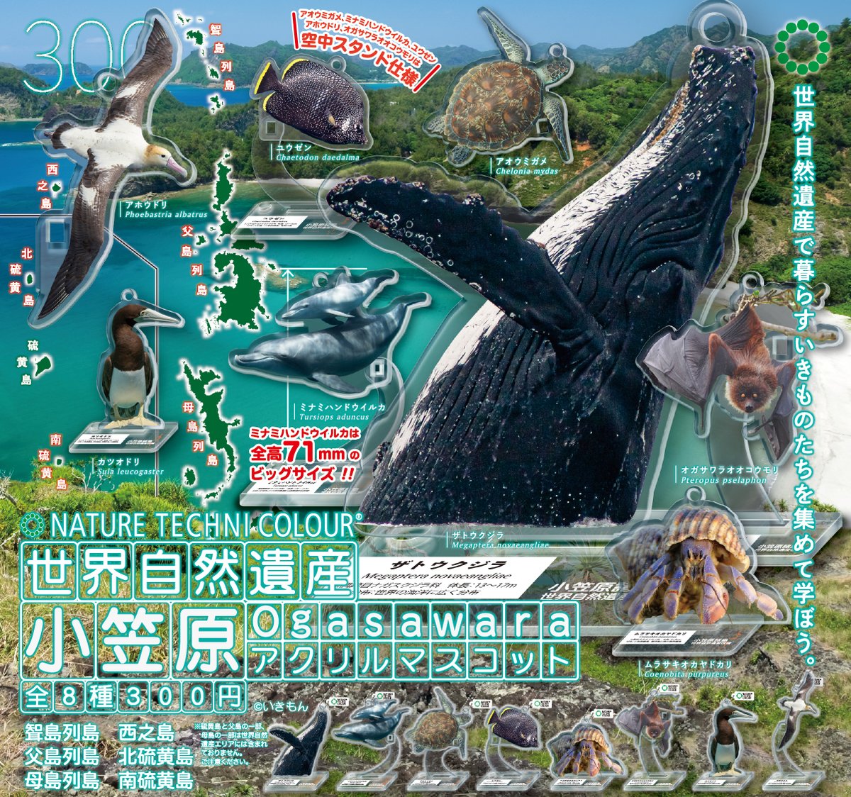 小笠原 引退限定グッズ 小笠原満男引退記念グッズ第2弾予約開始！ユニは早くも完売