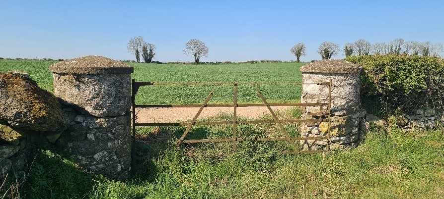 Teagasc (@teagasc) on Twitter photo A recent visit to the Moore family farm in Croghan, Co. Offaly is a powerful reminder of how heritage & biodiversity can coexist alongside commercial farming practices on even the busiest of farms. <a href="/TeagascSignpost/">TeagascSignpost</a> Tillage Advisor, John Mahon tells us more bit.ly/3STp8ct A recent visit to the Moore family farm in Croghan, Co. Offaly is a powerful reminder of how heritage & biodiversity can coexist alongside commercial farming practices on even the busiest of farms. <a href="/TeagascSignpost/">TeagascSignpost</a> Tillage Advisor, John Mahon tells us more bit.ly/3STp8ct