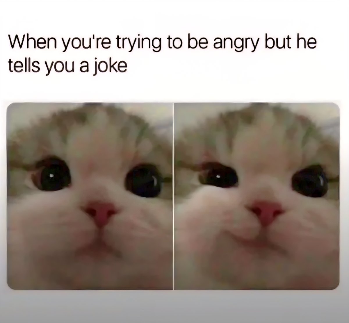 Adoring You Daily ♡︎ (@imadoringyou) on Twitter photo 