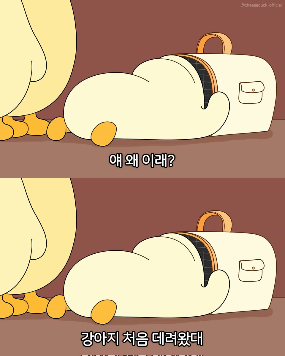 안....녕.......?..🥹