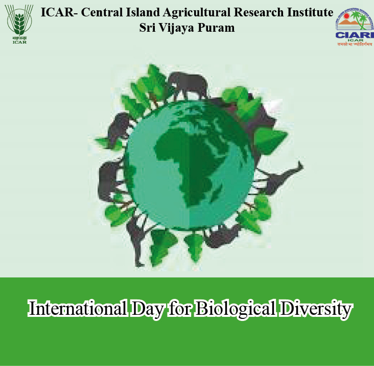 CIARIPortblair's tweet photo. 🌿 Celebrating International Biodiversity Day 2025 🌿
ICAR-CIARI stands committed to conserving the unique biodiversity of the Andaman & Nicobar Islands.
Let’s all #BePartOfThePlan 🌱
#BiodiversityDay #ICARCIARI #AndamanNicobar #Biodiversity2025 @icarindia @AgriGoI https://t.co/mEgj8XLFQ5