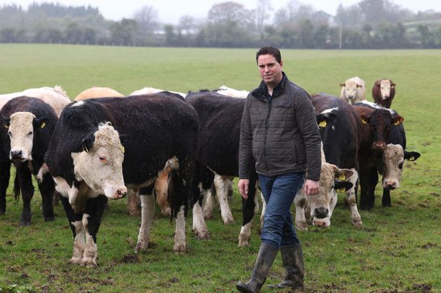 Revealed: New proposals on the table at today’s crunch TB meeting independent.ie/farming/news/r…
