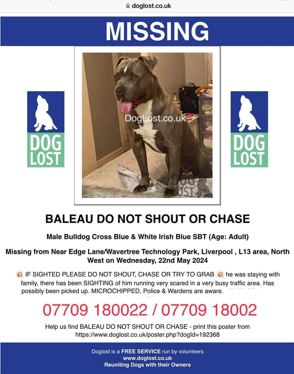 Missing Pets GB tweet media