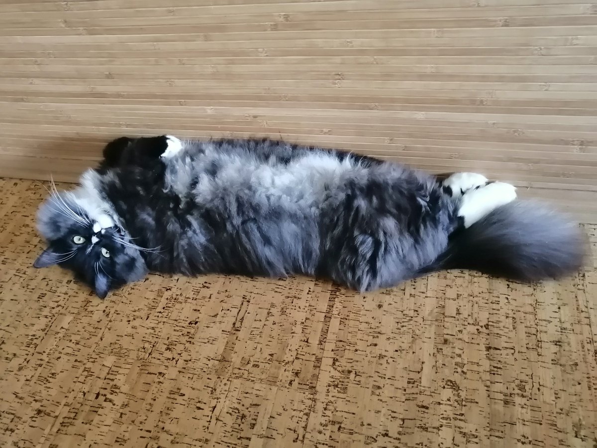 посмотрите на эту булочку 🥹