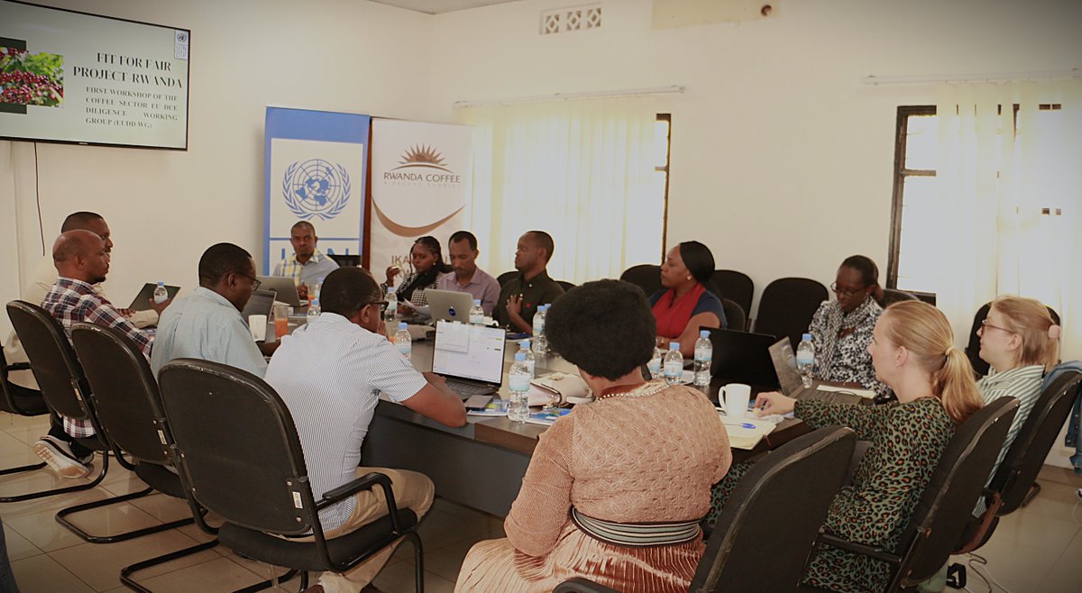 RwandAgriExport's tweet image. Today, NAEB with partners under the ‘FIT for Fair Project,’ convened the first multi-stakeholder workshop as part of the EU Due Diligence Working Group. The session focused on aligning Rwanda’s coffee sector with key #EU market compliance frameworks such as #EUDR and #CSDDD .
