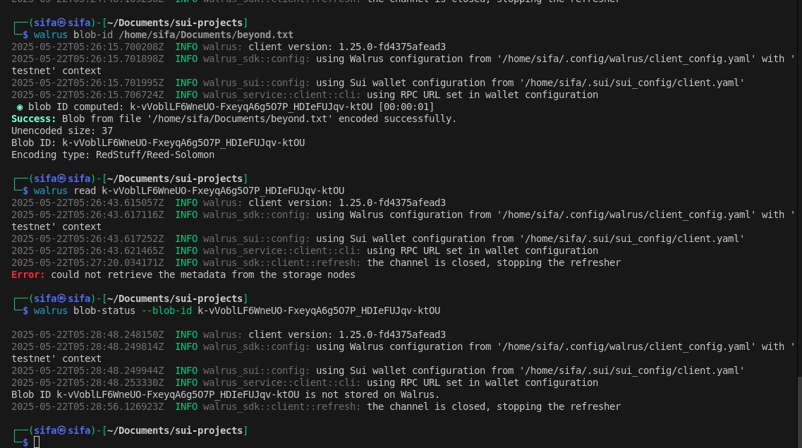 yaah_sifa's tweet image. Spending time in the CLI trenches with @WalrusProtocol and I&apos;m starting to feel like Indiana Jones 😂 I hit a few walls(that&apos;s how you learn) but managed to solve them. Felt like unlocking cheat codes💯🔥
#JengaNaSui #BuildToLearn
@SuiNetworkKE @mystenminds
