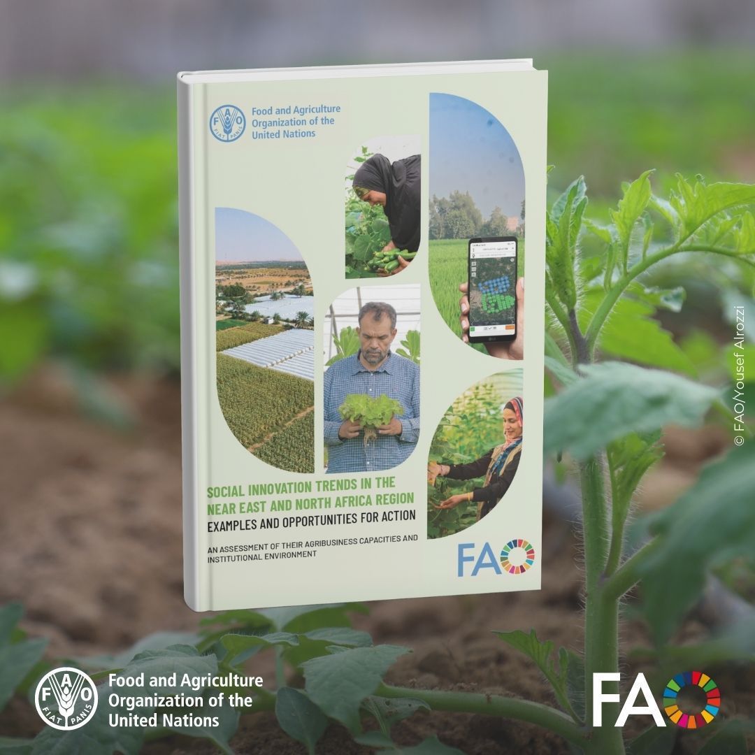 FAOInnovation's tweet photo. How is #SocialInnovation transforming small-scale farming in the Near East &amp; North Africa? 🌍 

A new @FAOinNENA_EN report explores key trends, inspiring practices &amp; opportunities for action across the region.

📘 Read more: https://t.co/lSzR1fjCue
#AgInnovation @FAOKnowledge https://t.co/9FoAbzOAmk
