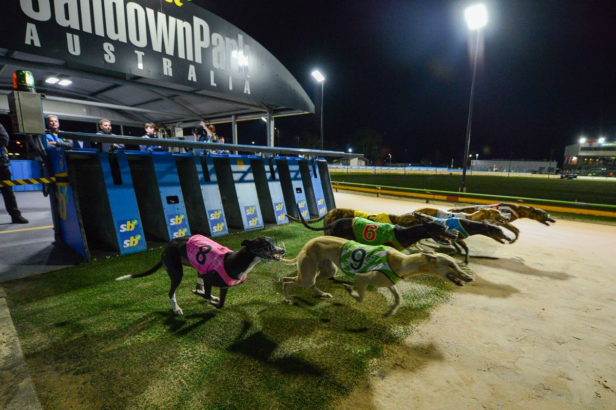 It's been a race over the years that's produced everything.

But based on last week's heats, the Race Data gives us the state of play. 

THE DATA | grv.org.au/news/2025/05/2…