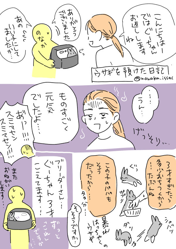 ウサギをペットホテルに預けた日記 