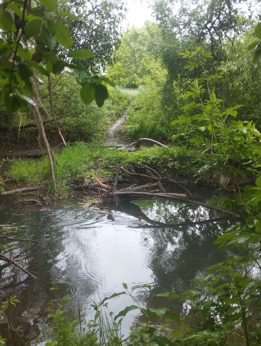 baru 📷🫀🗺️ tweet media