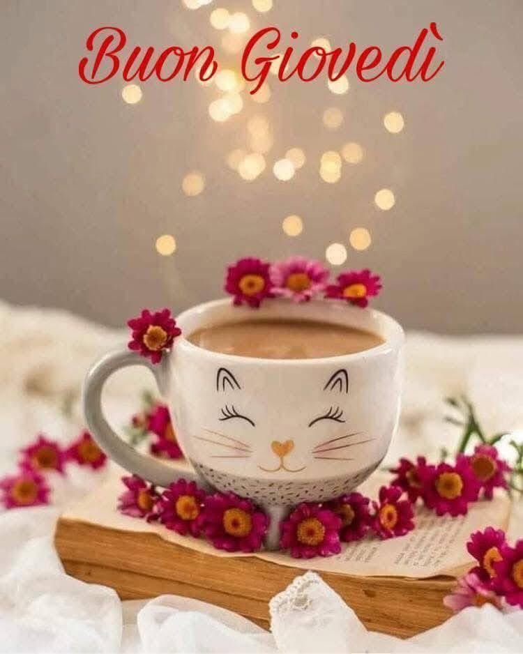 RITABIANCHi56 tweet media