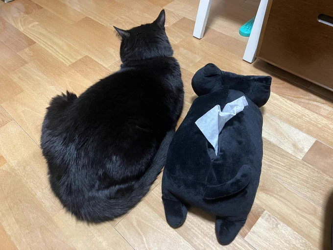 おしりあい