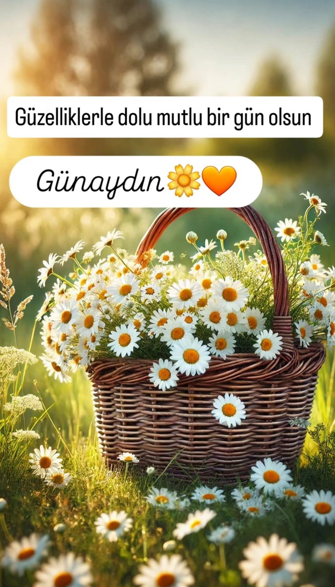 Günümüz aydınlık olsun..
#Günaydın