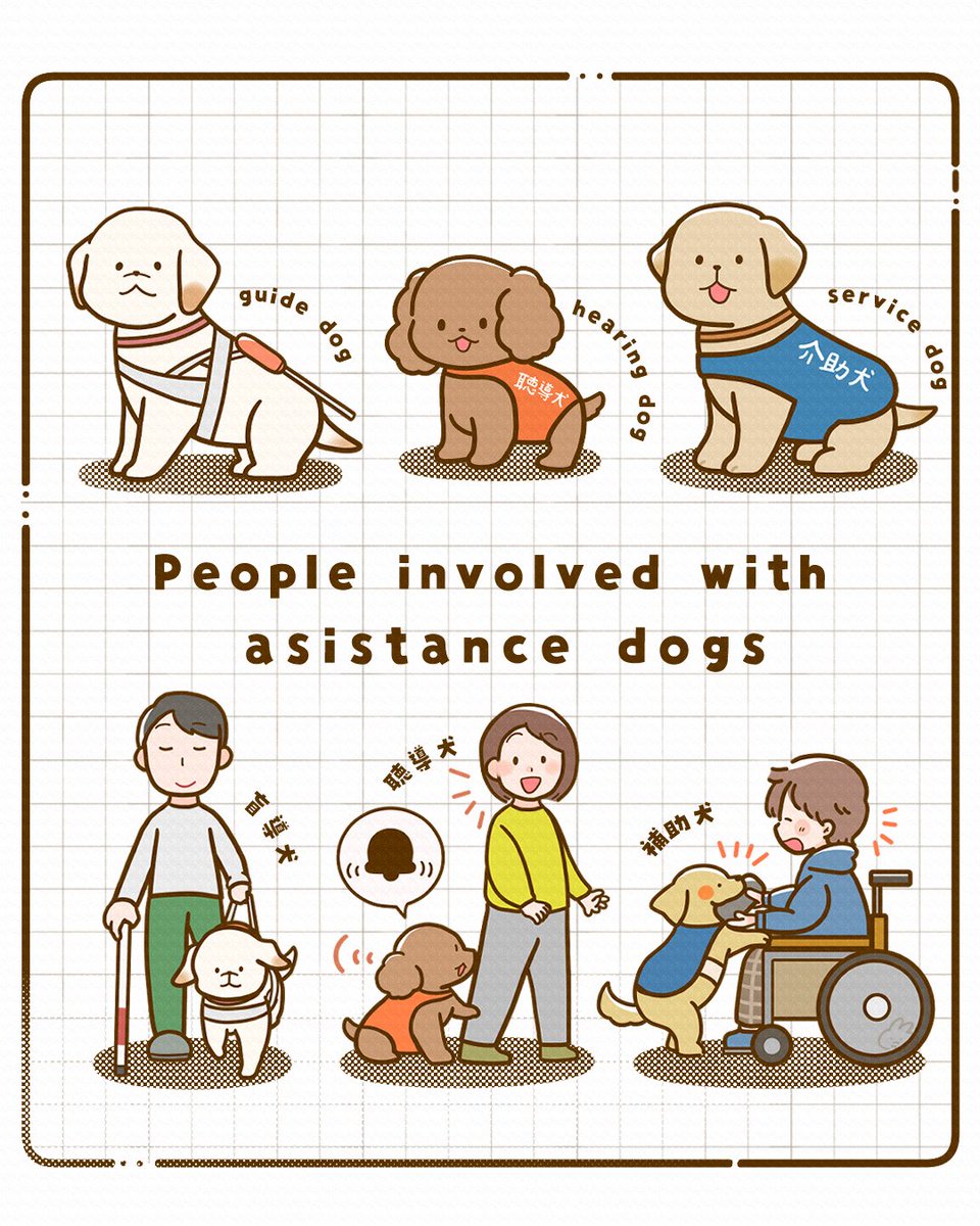 🦮🐕🐕
#ほじょ犬の日 #illustration 