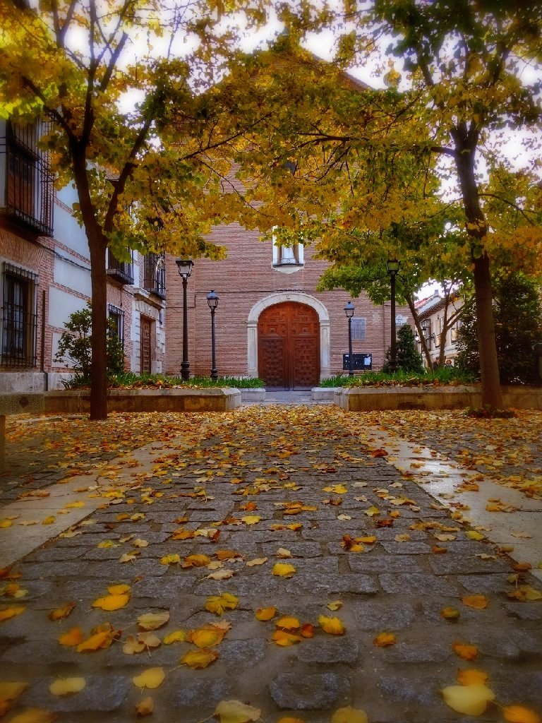 mequetrefa67's tweet photo. Alcalá de Henares.
#alcaladehenares #photography #photooftheday #photo #landscapephotography #landscape #travel #travelphotography #worldphoto https://t.co/x3nDhBAsPJ