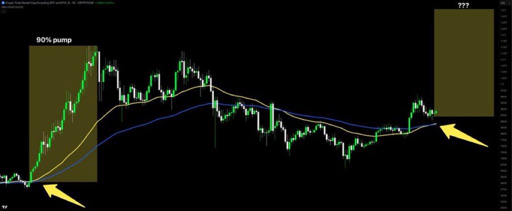 MooseCDM tweet media