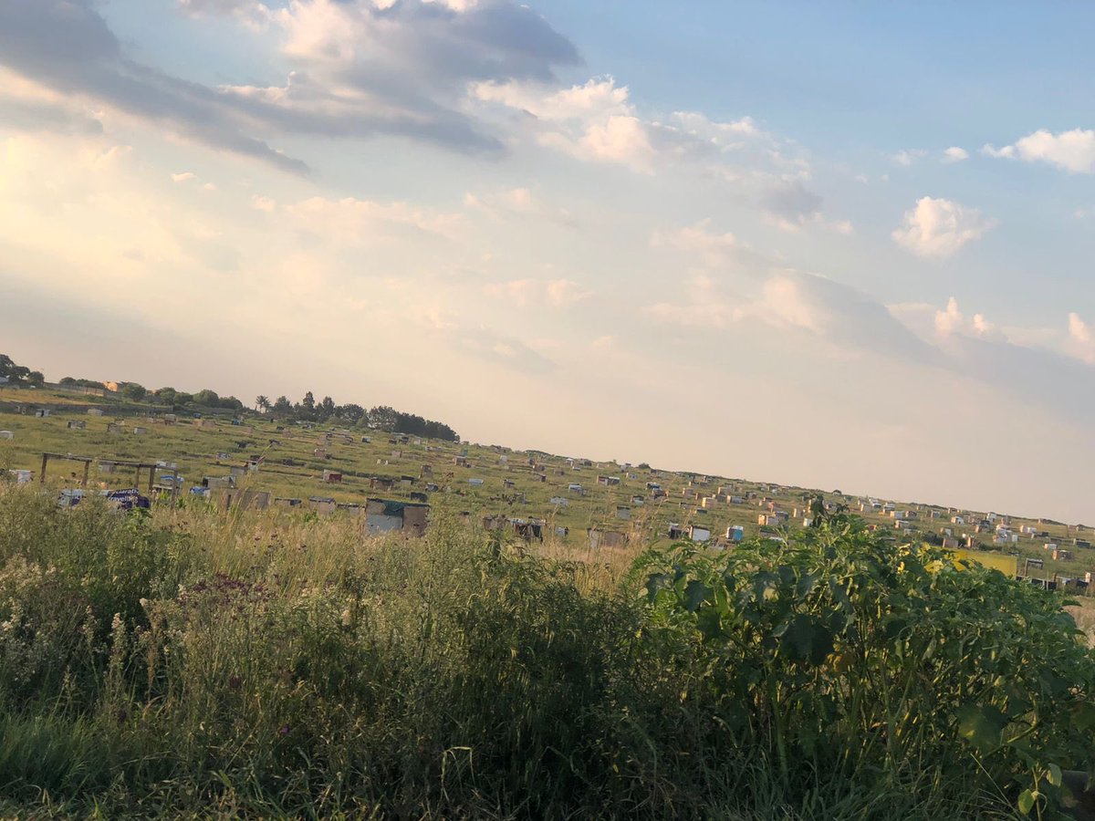 <a href="/GP_DHS/">GP_HumanSettlements</a> We’ve been reporting for the longest. All talk but no action. We even send the MEC a direct message and was blutickt . This is rabie ridge and we are living in hell because of this illegal gemors.