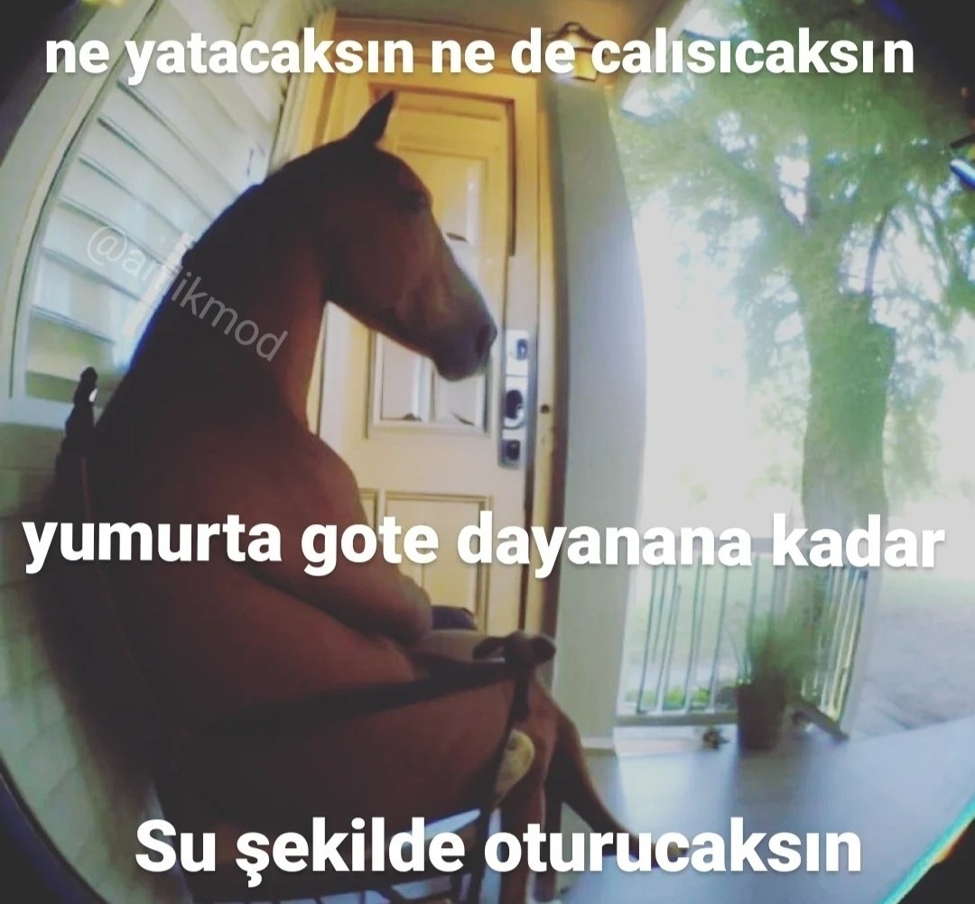 ANLIK (@anlikmod) on Twitter photo 