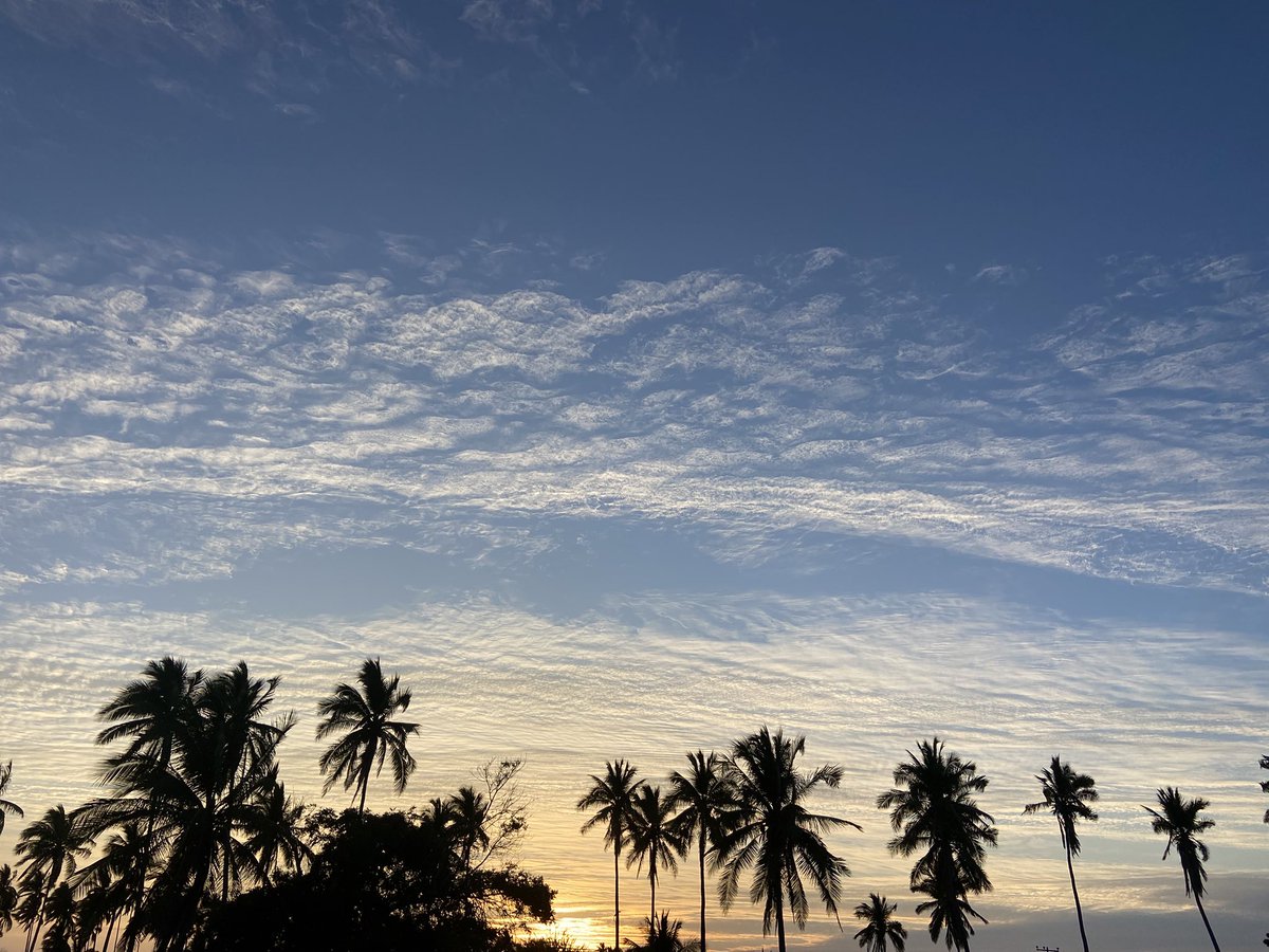 SunSunQTsun's tweet photo. After playing on the beach all day

#SkyforBarcodeTin https://t.co/kCsuBxzWuF