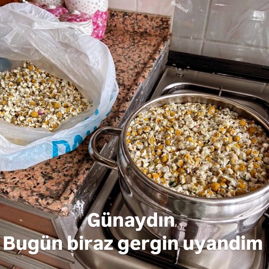 ANLIK (@anlikmod) on Twitter photo 