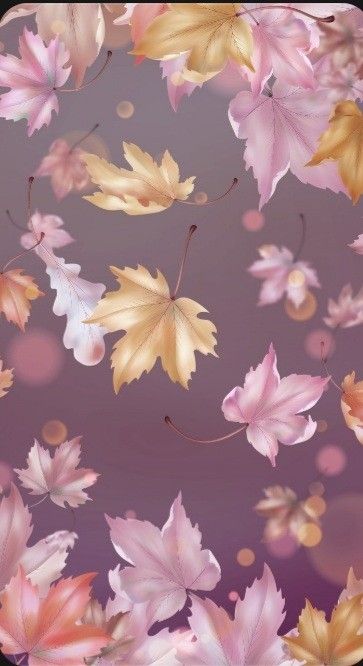 불타는 해바라기 (@haebaraagi) on Twitter photo 