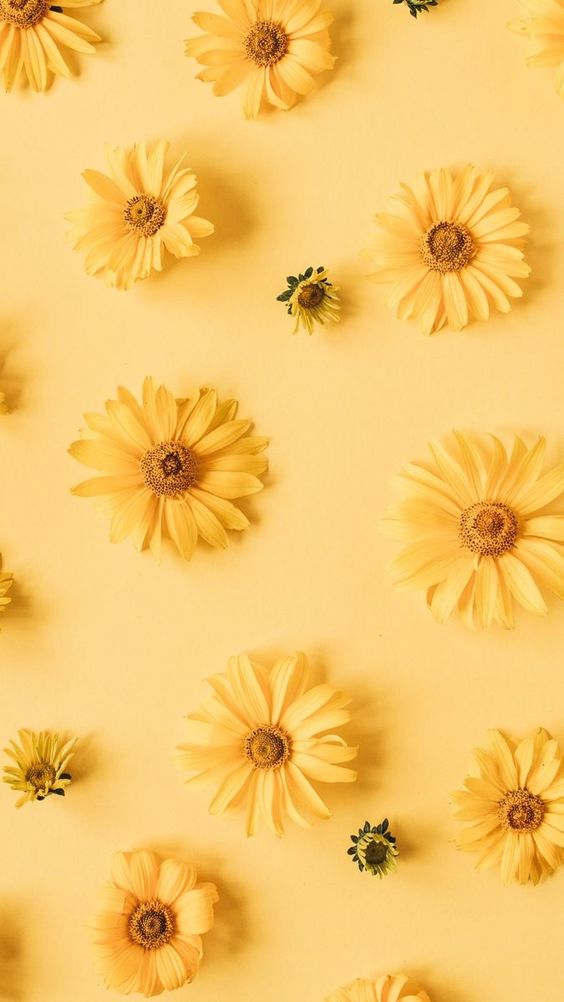 하정 (@haesejung) on Twitter photo 