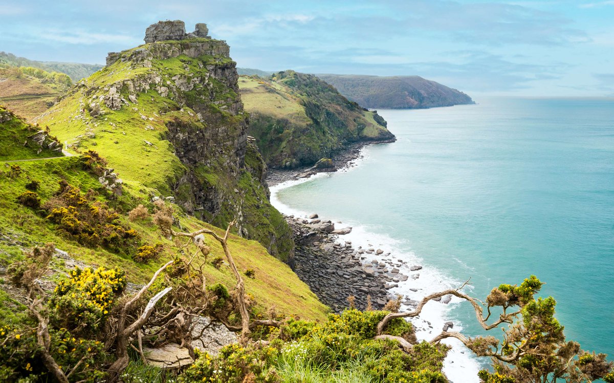 On the edge of Exmoor National Park, the dramatic Valley of Rocks runs parallel to the sea, famous for its jagged cliffs, ancient rock formations—and the fearless feral goats that roam them 🐐

Thanks to Joe Cowell for this stunning shot 📸