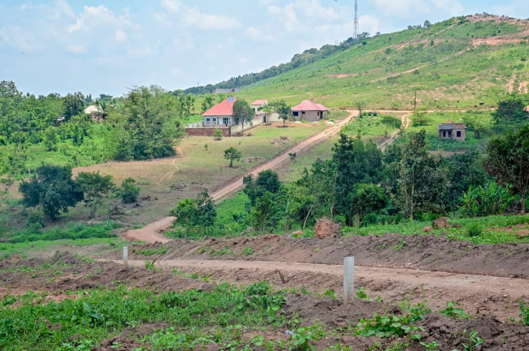 📢 Don’t Get Left Behind! 🚀
Plots at Kiwenda Estate are selling like hotcakes, and we want YOU to be part of this growing neighborhood!  

- 1km from Kiwenda Trading Center
- Flexible payment plan 
- Secure yours at 35M
Call us today at 0754147747 or 0765237329 

Lucky Beauty
