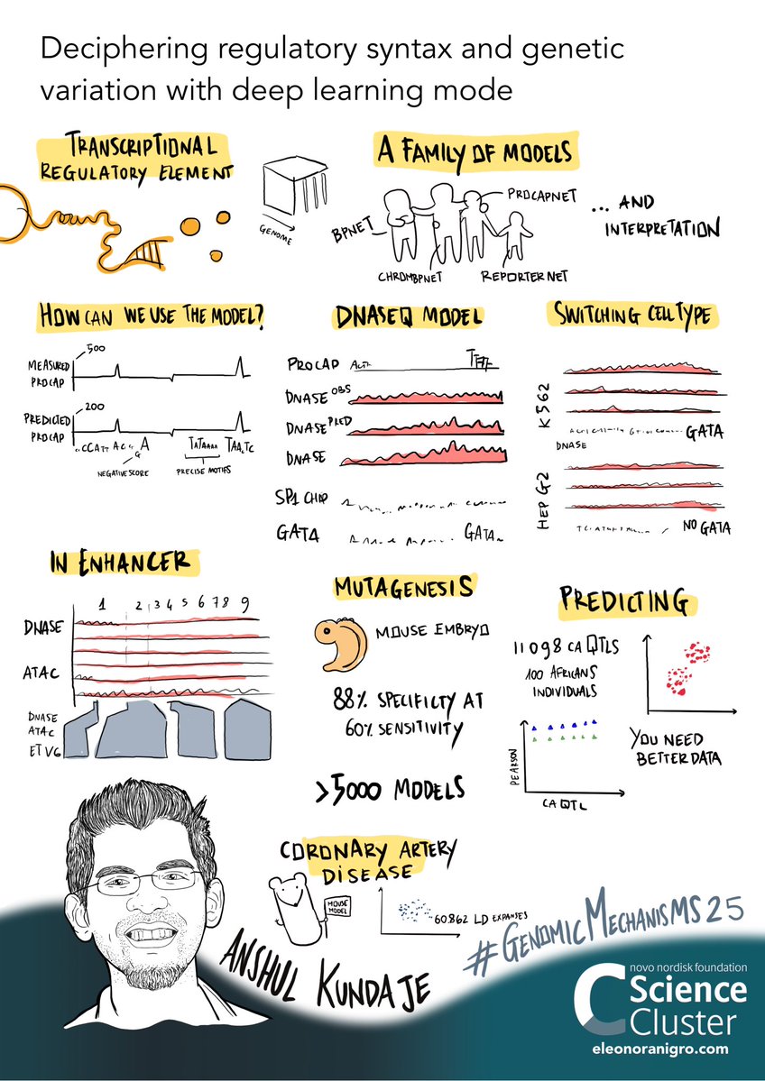 Novo Nordisk Foundation Science Cluster (@sciencecluster) on Twitter photo Continuing #GenomicMechanisms25 with <a href="/anshulkundaje/">Anshul Kundaje (anshulkundaje@bluesky)</a> from <a href="/Stanford/">Stanford University</a>:
š£ļø Deciphering regulatory syntax and #genetic variation with #DeepLearning models
#science #Genome #Drug
<a href="/novonordiskfond/">Novo Nordisk Foundation</a> Center for Genomic Mechanisms Disease at <a href="/broadinstitute/">Broad Institute</a> Continuing #GenomicMechanisms25 with <a href="/anshulkundaje/">Anshul Kundaje (anshulkundaje@bluesky)</a> from <a href="/Stanford/">Stanford University</a>:
š£ļø Deciphering regulatory syntax and #genetic variation with #DeepLearning models
#science #Genome #Drug
<a href="/novonordiskfond/">Novo Nordisk Foundation</a> Center for Genomic Mechanisms Disease at <a href="/broadinstitute/">Broad Institute</a>