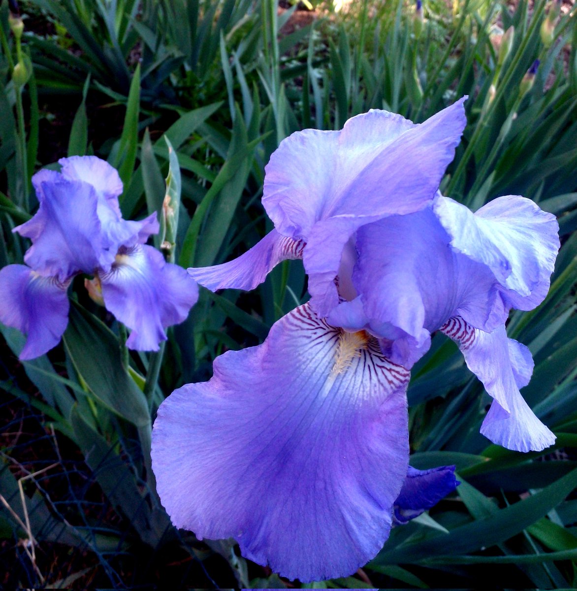 Катерина Галич tweet media