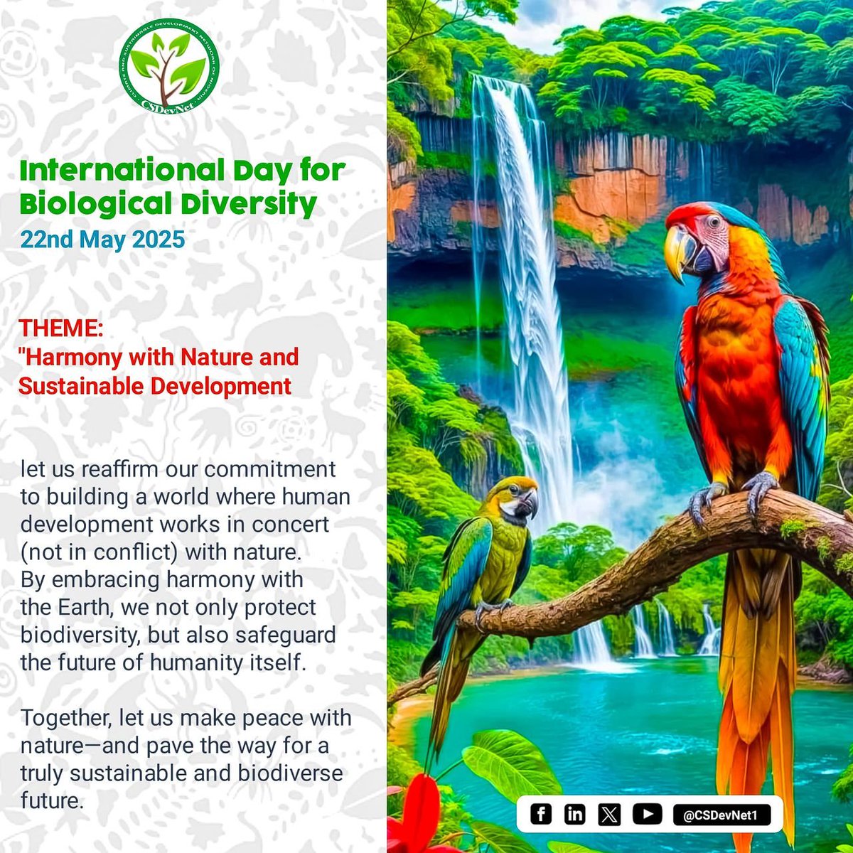 International Day for Biological Diversity.

Protect biodiversity, safeguard the future of humanity.

#BiodiversityDay #HarmonyWithNature
#act4greennigeria

<a href="/PACJA1/">PACJA</a> 
 <a href="/CSDevNet1/">Climate & Sustainable Development Network</a> 
<a href="/officialABAT/">Bola Ahmed Tinubu</a>
