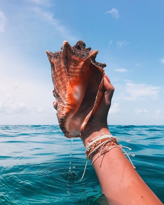 하루더행복 (@jungsoo33ha) on Twitter photo 