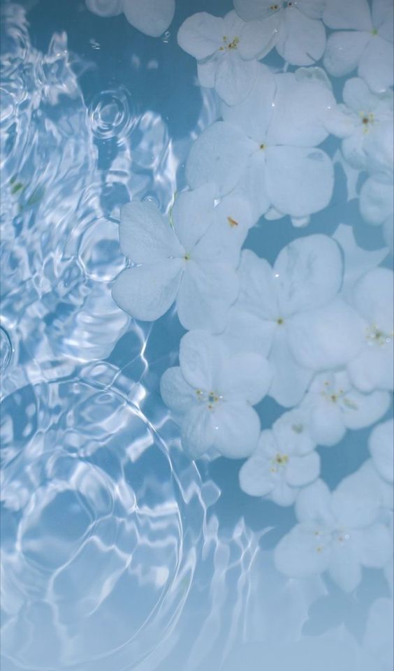 지운다 (@ptnwmassdol002) on Twitter photo 