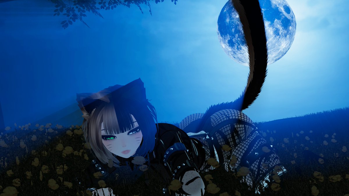 ~On the prowl
