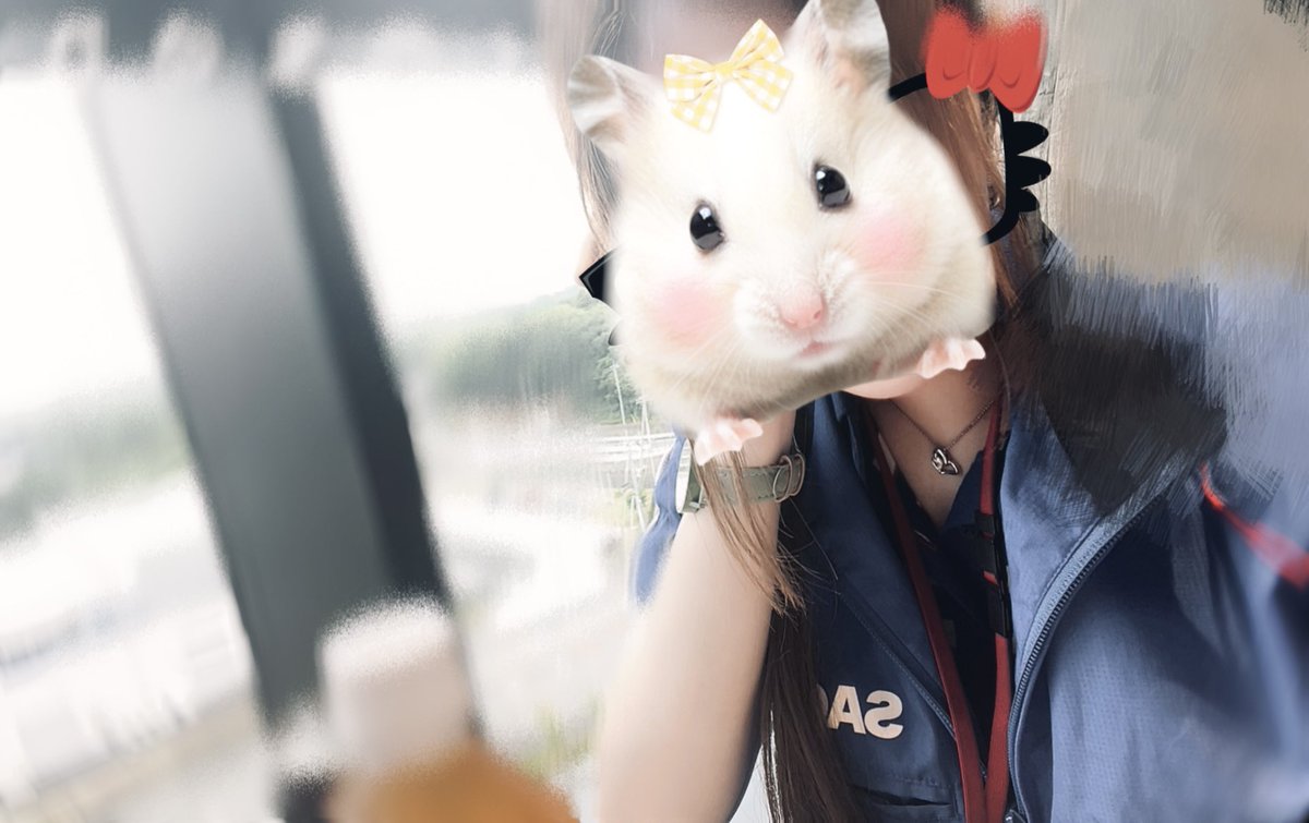 お仕事✌️