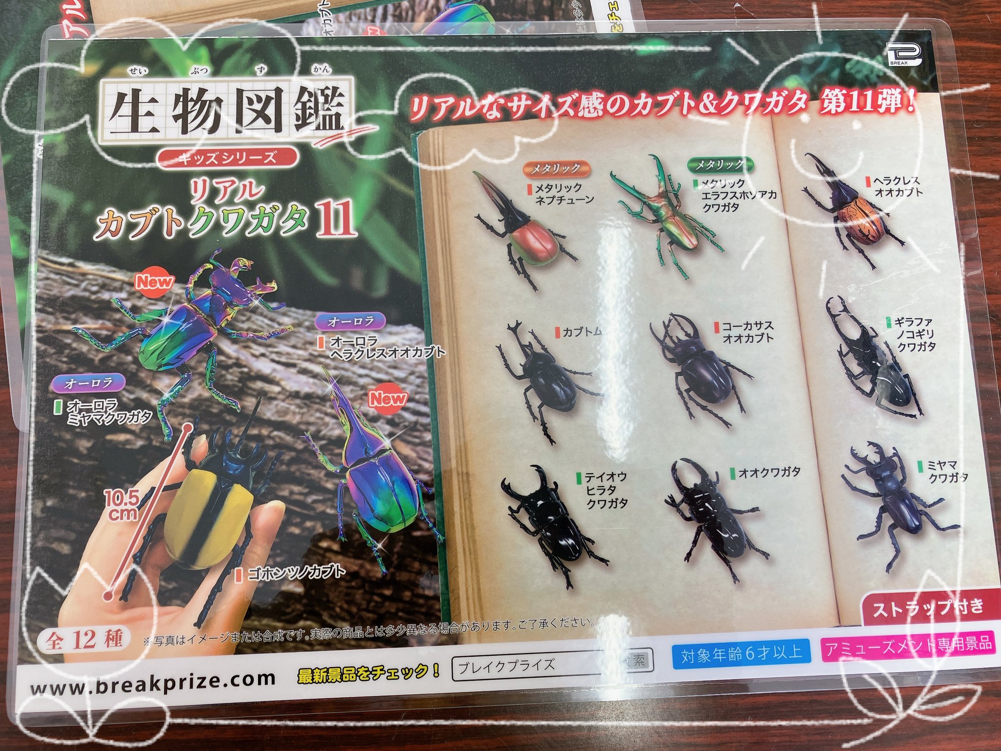 生物図鑑 キッズシリーズ リアルカブトクワガタ8 キーホルダー セット